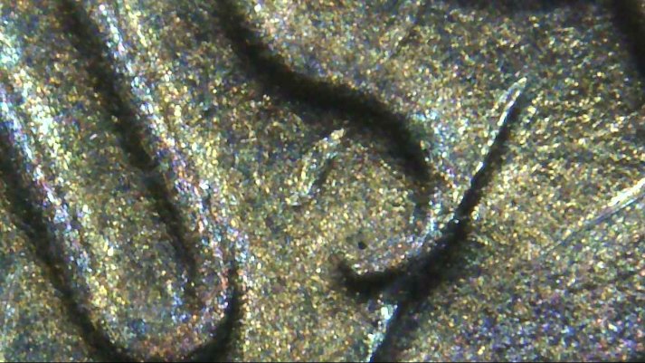 Help!!-2017-D-Penny-Very-Interesting-Coin-Die-Deterioration?-MD?-DDR?